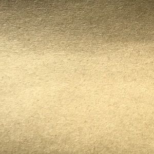 Meet your Posher, Lenoard