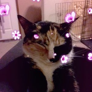 Meet your Posher, Sandra