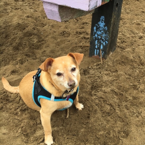 Meet your Posher, Shelly - Picture 2 of 3