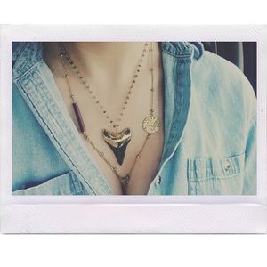 Shark Tooth Necklace