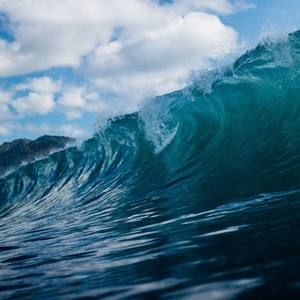 Meet your Posher, Bobby