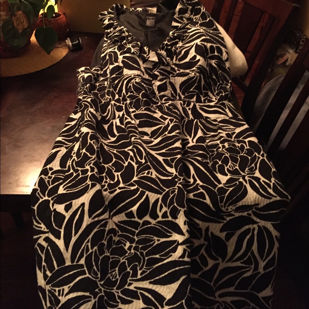 2 dresses Ann Taylor size 16 black and white dress
