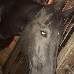 Meet your Posher, Tessa