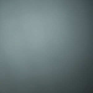 Meet your Posher, Sophia