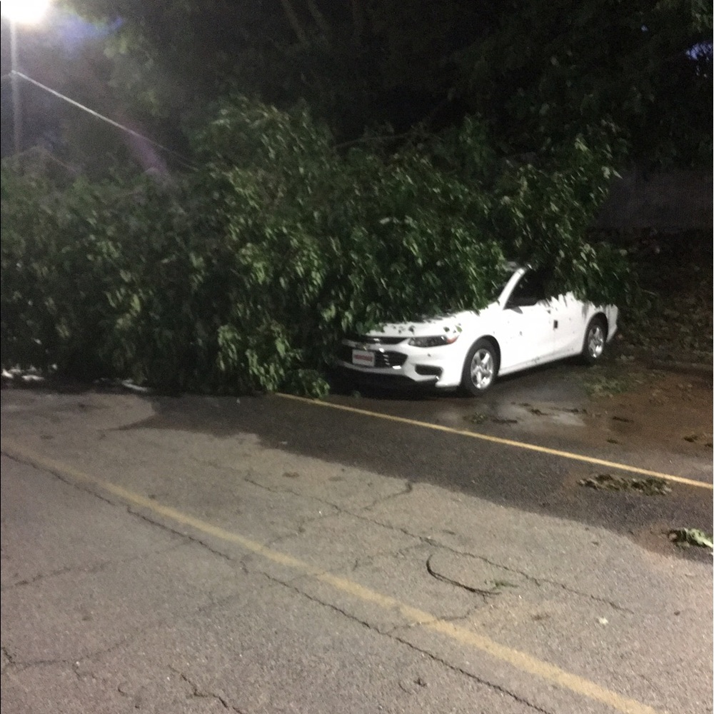 Meet your Posher, Vincent