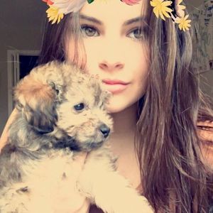 Meet your Posher, Bailey