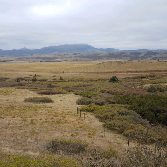 Meet your Posher, Sylvia - Picture 1 of 1