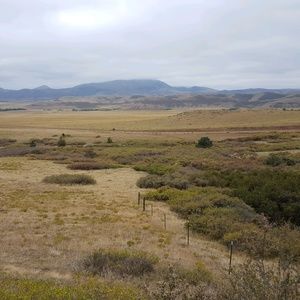 Meet your Posher, Sylvia