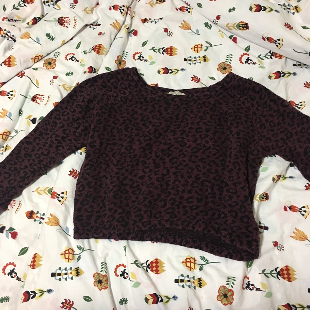 Zara Wine red leopard corp knit wear