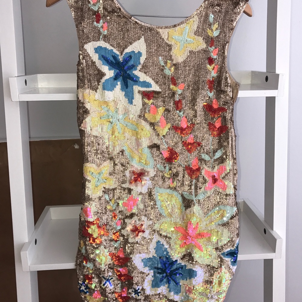 Sequins embroidery embellished mini