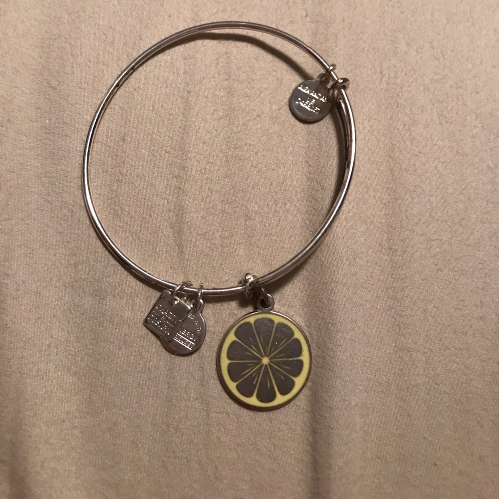 Alex & ani bracelet