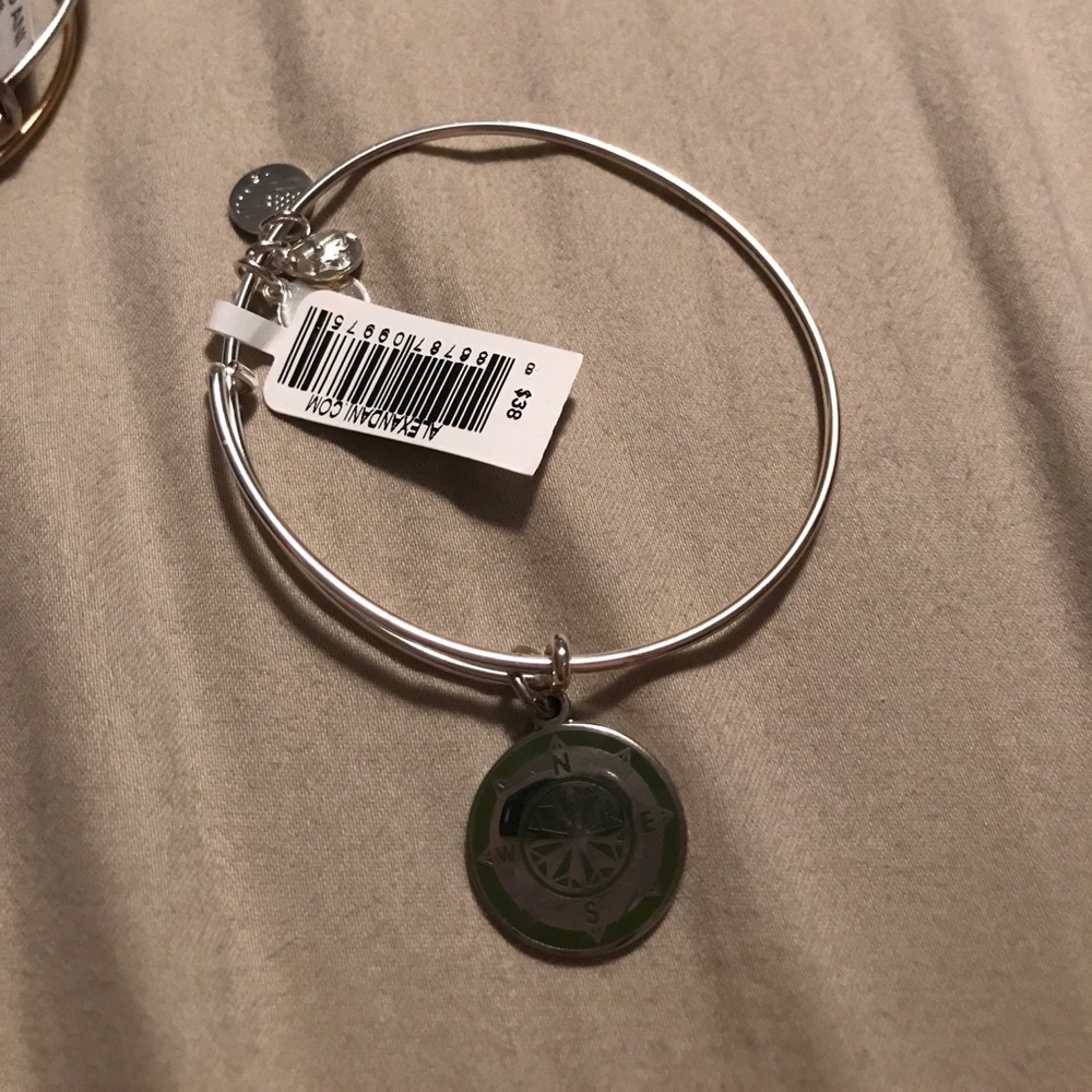 Alex and ani bracelet
