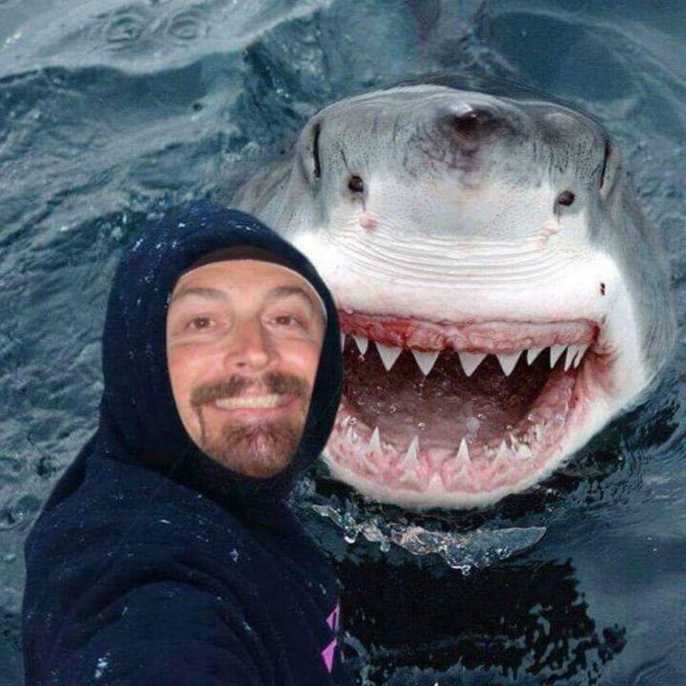 Meet your Posher, Marc