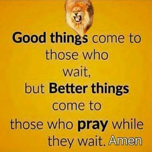 Meet your Posher, Lakia