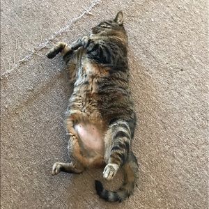 Meet your Posher, Chantel