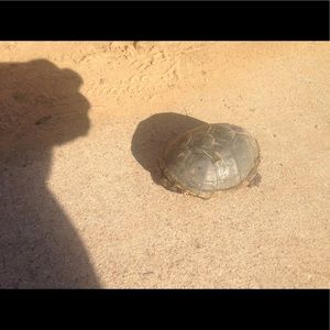 Meet your Posher, Comfort