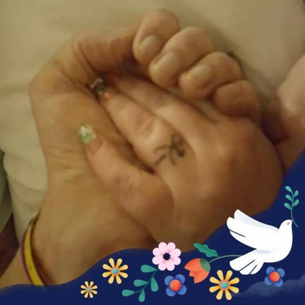 Meet your Posher, Laci