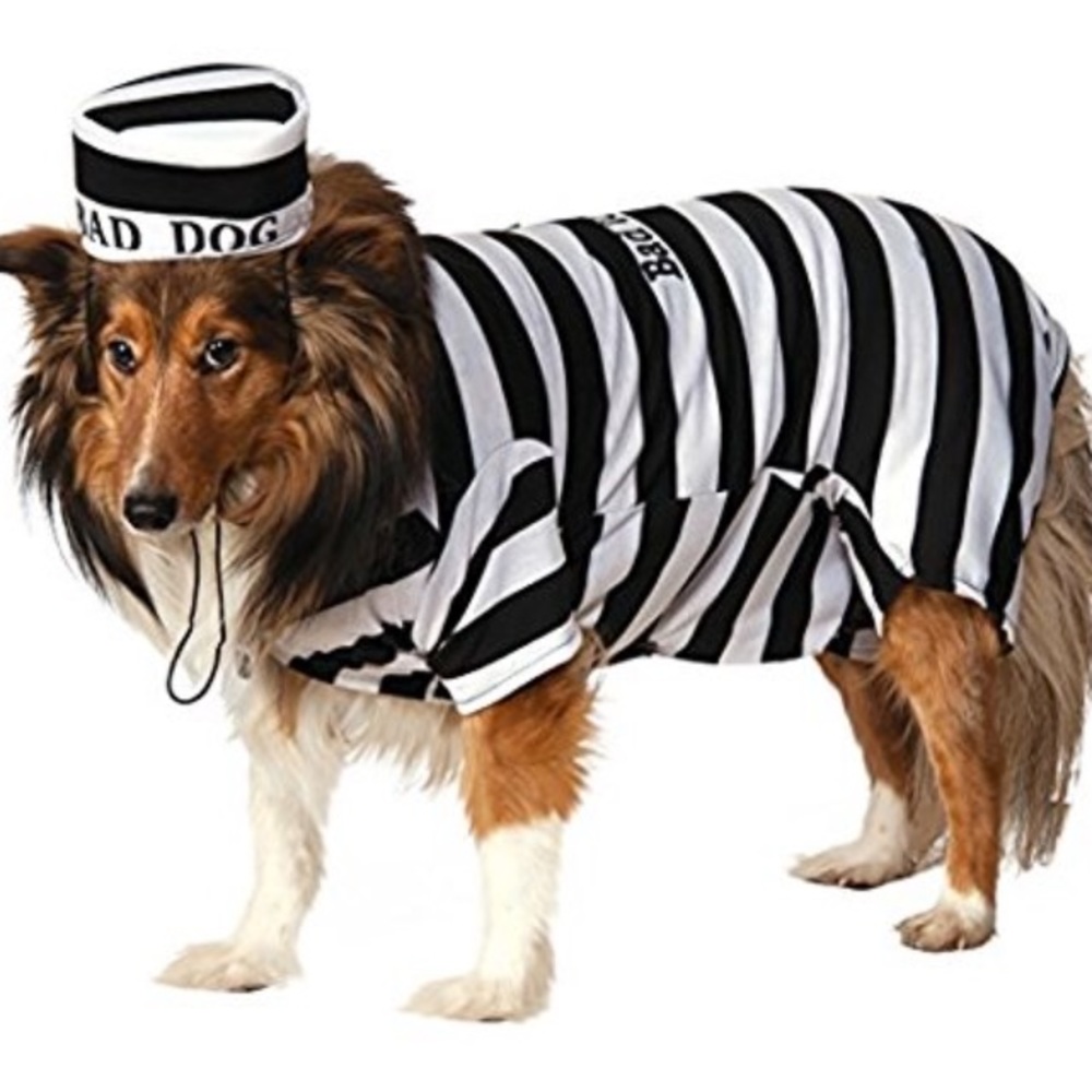 BAD DOG JAIL HALLOWEEN COSTUME