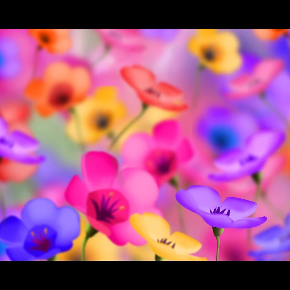 Meet your Posher, Lindsay