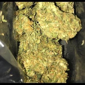 Meet your Posher, Logan