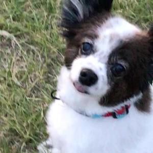 Meet your Posher, Susan