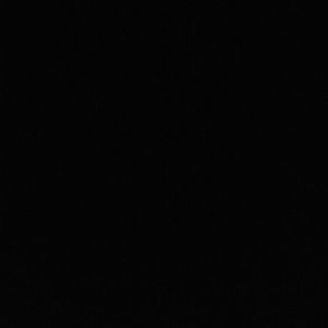 Meet your Posher, Ransel