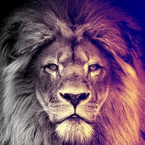 Meet your Posher, Dylan