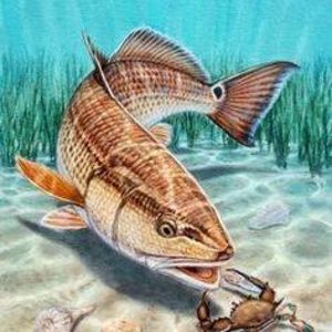 Meet your Posher, Lena