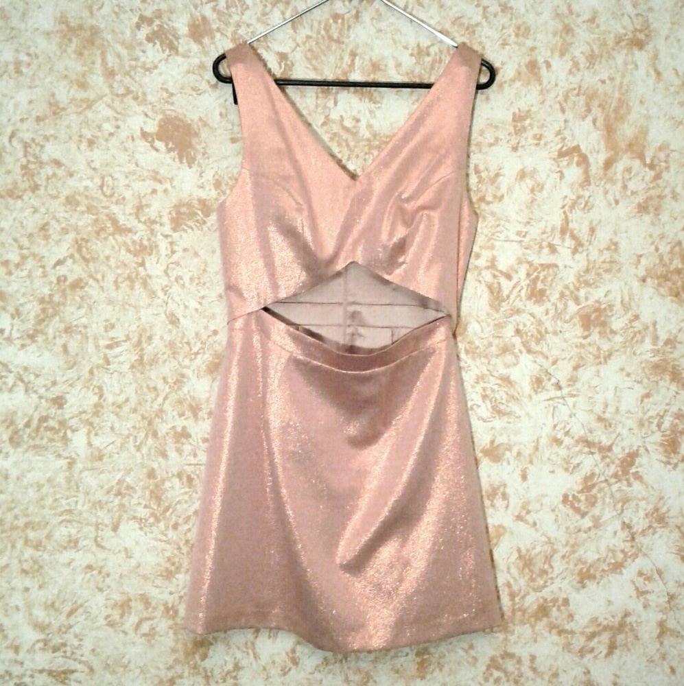 EXPRESS Party Dress