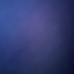 Meet your Posher, Arlene