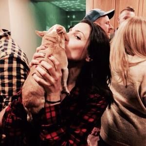 Meet your Posher, Revital