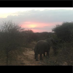 Meet your Posher, Noah