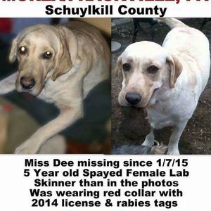 Meet your Posher, Carol