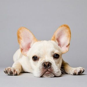 Meet your Posher, Aimee