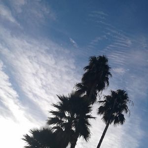 Meet your Posher, Erik