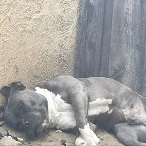 Meet your Posher, Carina