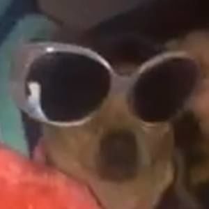 Meet your Posher, Marcos