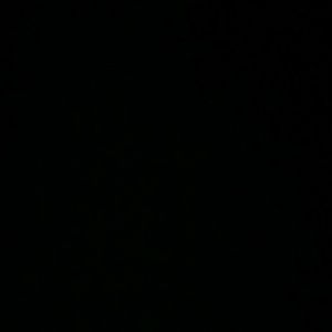 Meet your Posher, Angel