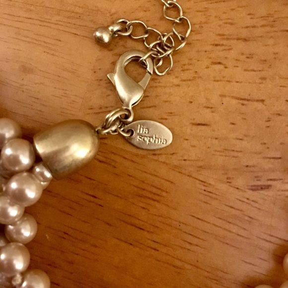 Lia Sophia necklace and brooch - Picture 3 of 3