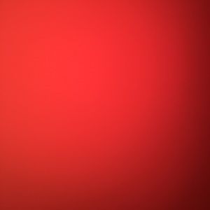 Meet your Posher, Raul