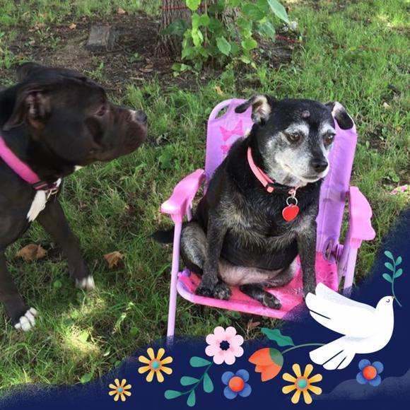 Meet your Posher, Christina - Picture 1 of 1