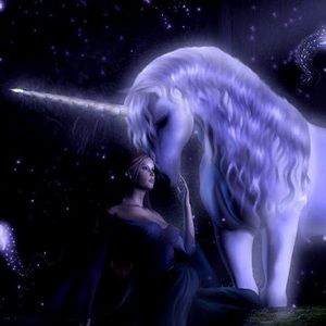 Meet your Posher, Dm