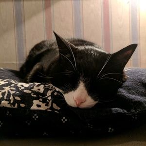 Meet your Posher, Trish