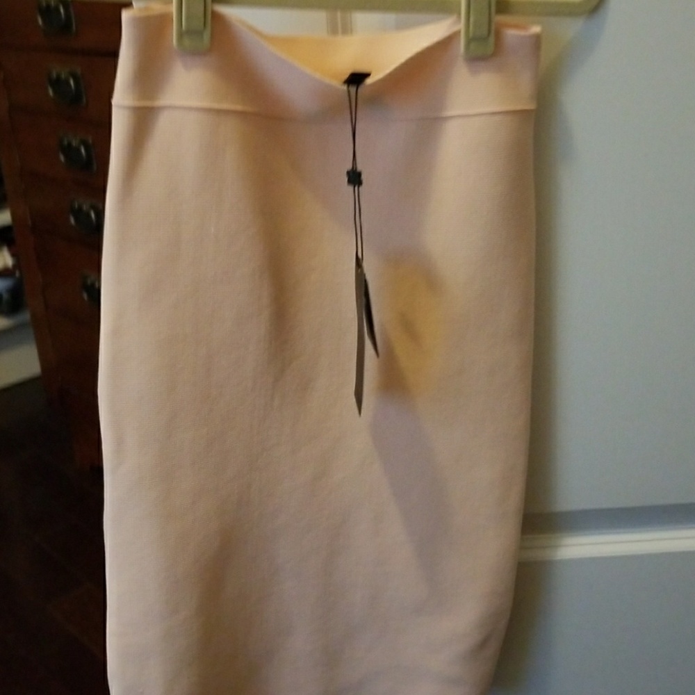 BCBG Bandage Skirt