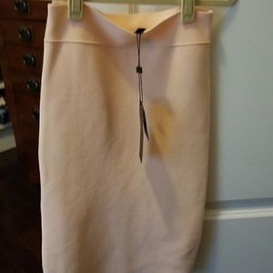 BCBG Bandage Skirt