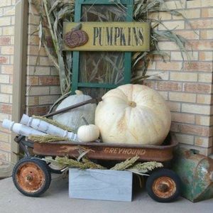 Meet your Posher, Sonya