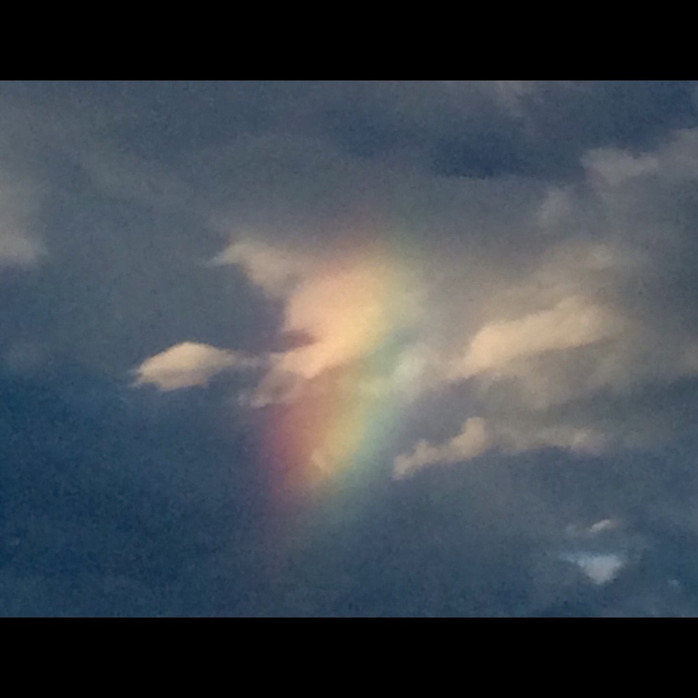 Meet your Posher, Alicia