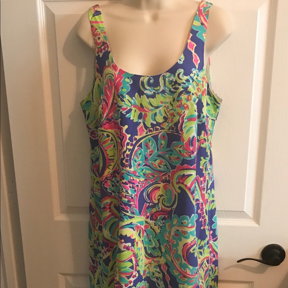 NWT Lilly Pulitzer Poppy Dress Medium