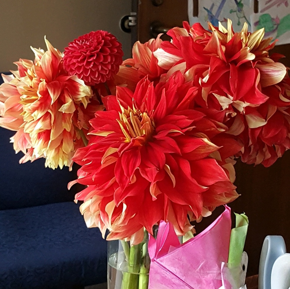 Meet your Posher, Sherry