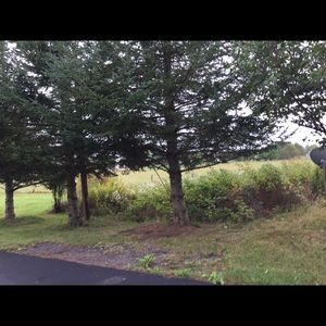 Meet your Posher, Jocelyn